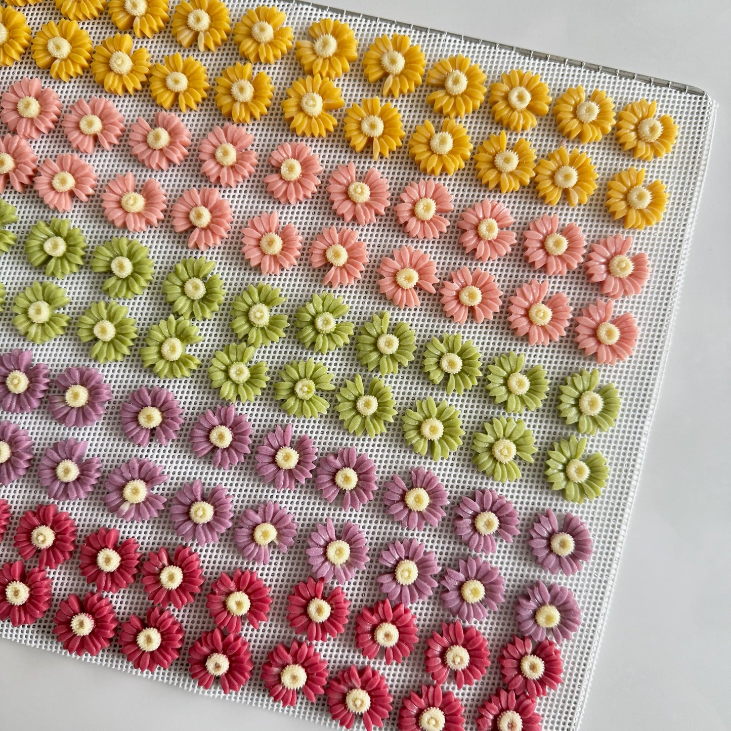Flower goat milk slices 花朵羊奶片🌸