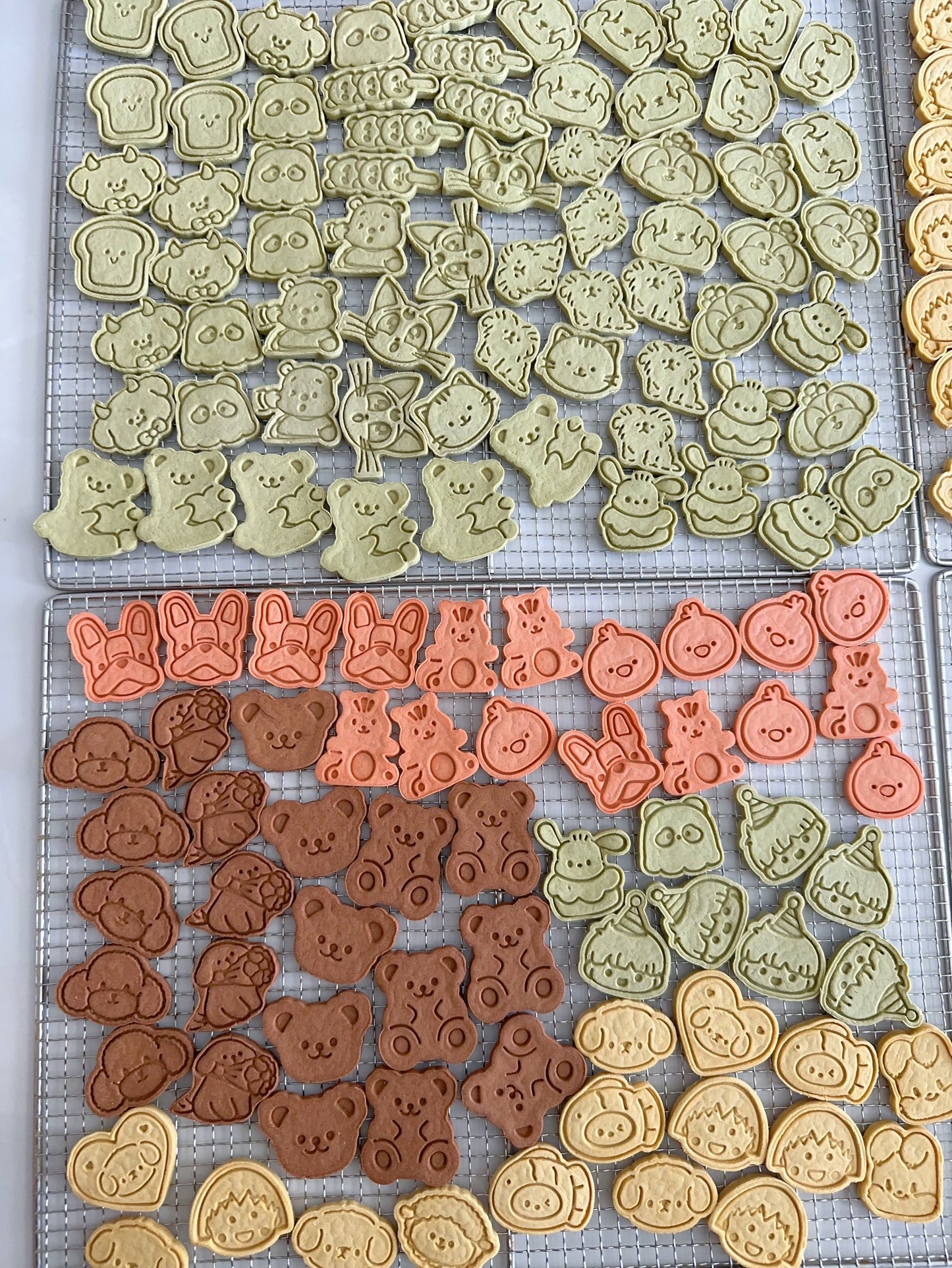 Cartoon pattern teething biscuits卡通图案磨牙饼干