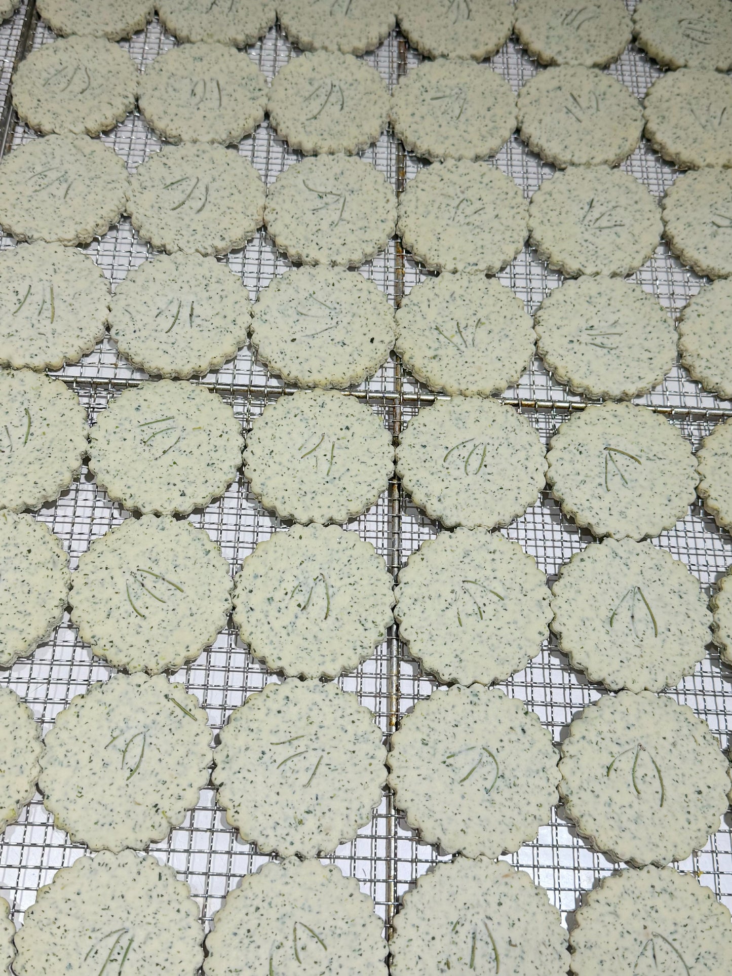 Herb Chicken Biscuits 🌿草本鸡肉饼干