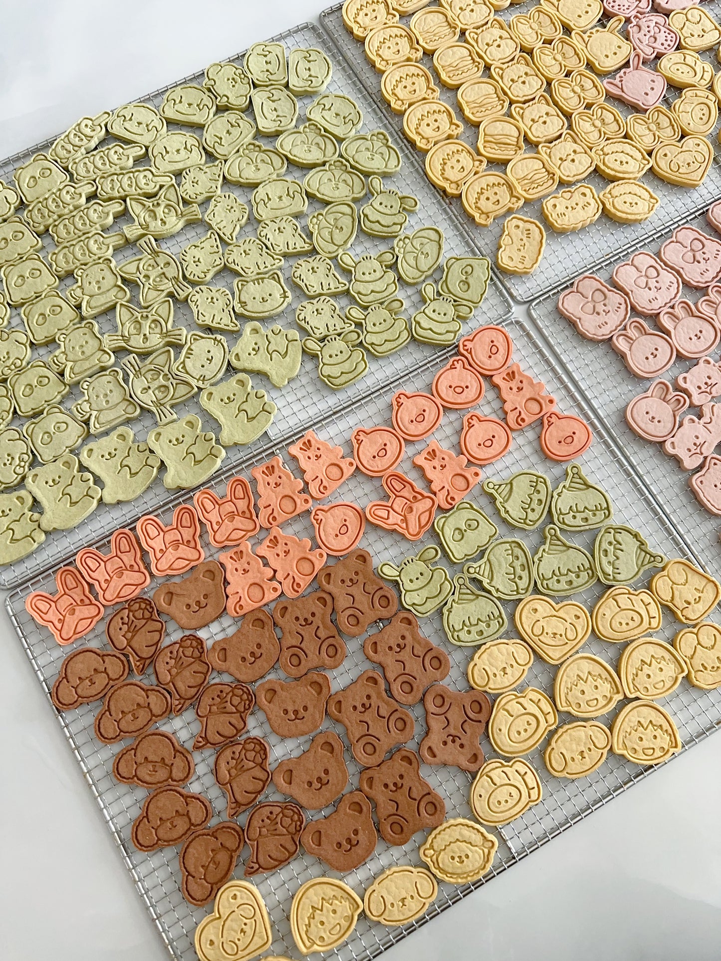 Cartoon pattern teething biscuits卡通图案磨牙饼干