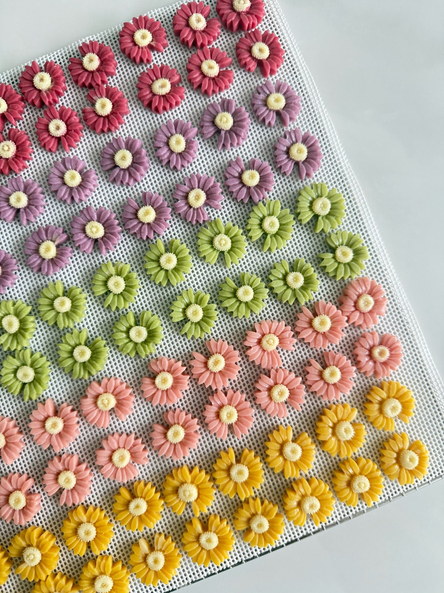 Flower goat milk slices 花朵羊奶片🌸