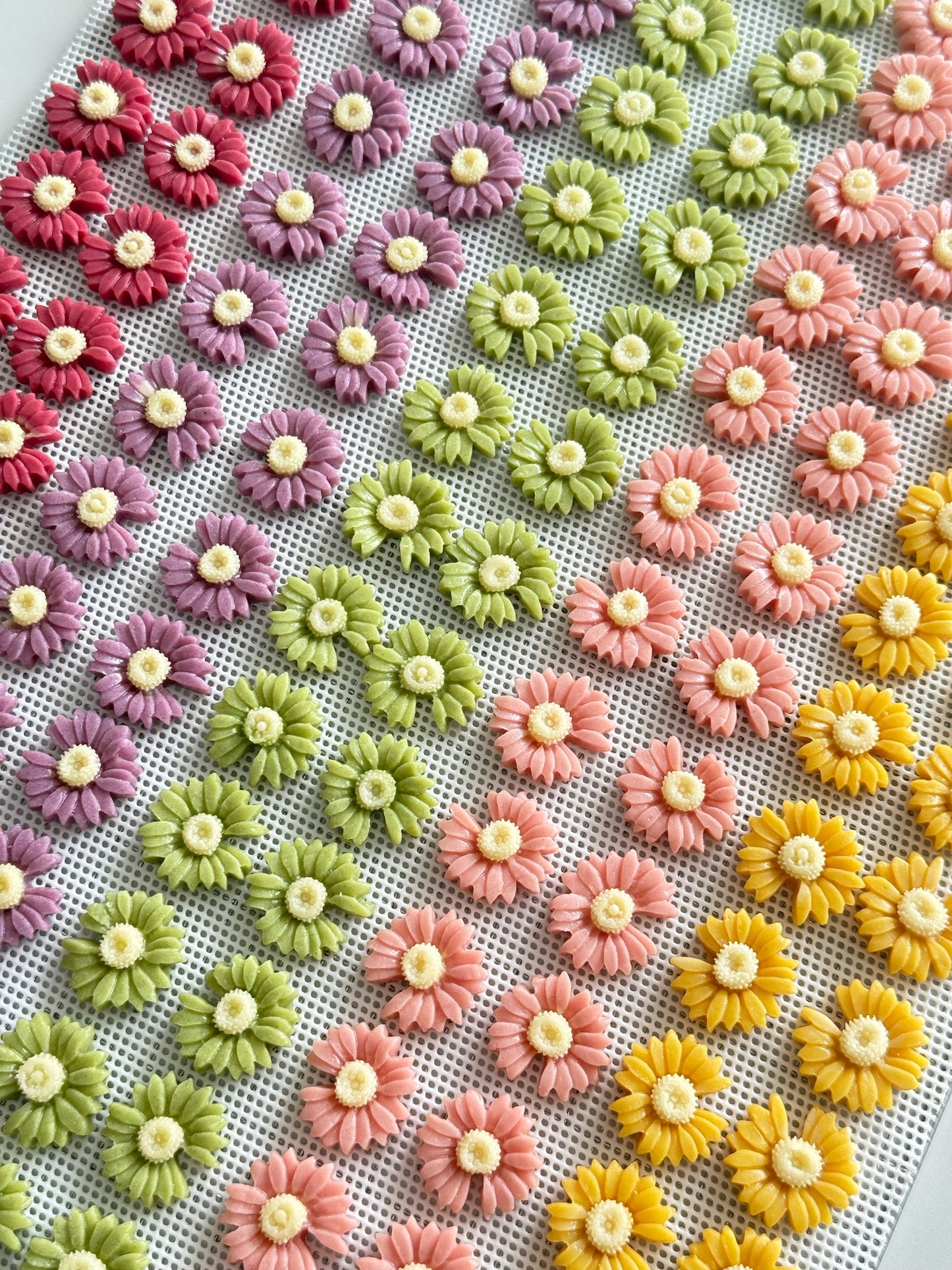 Flower goat milk slices 花朵羊奶片🌸