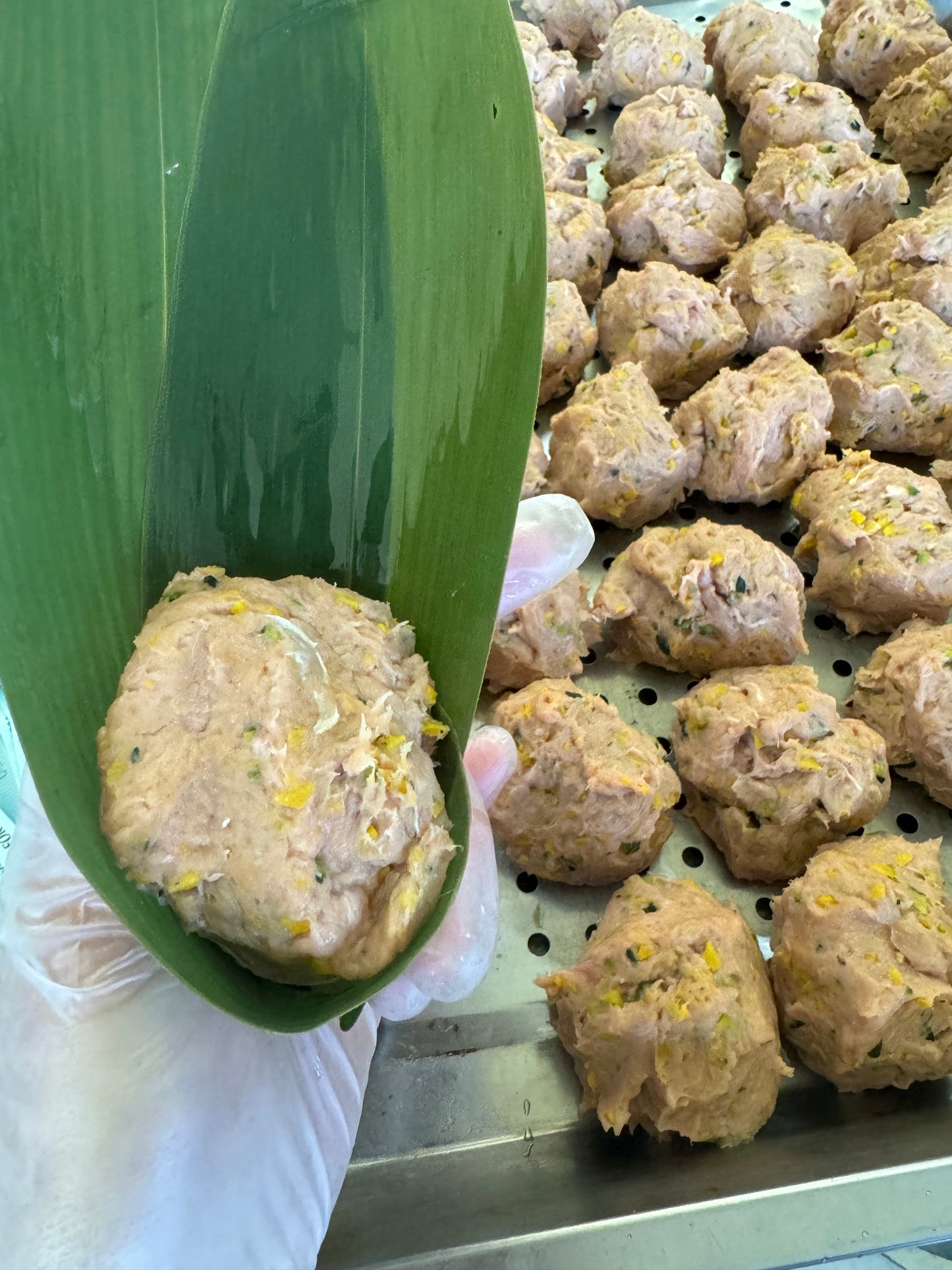 Holiday limited edition 🎁Pet Zongzi 端午粽子🥟