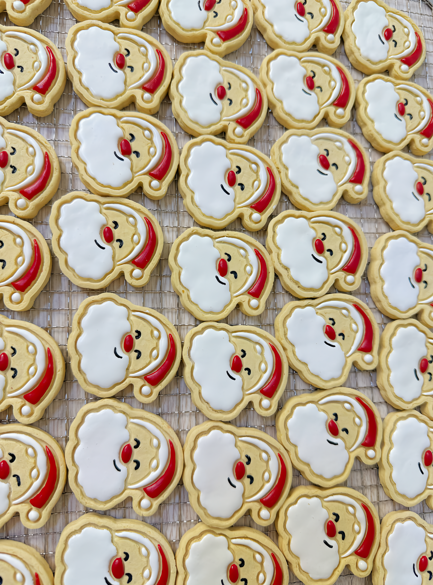 Christmas Limited Edition Painted Cookies 🍪圣诞限定淋面饼干