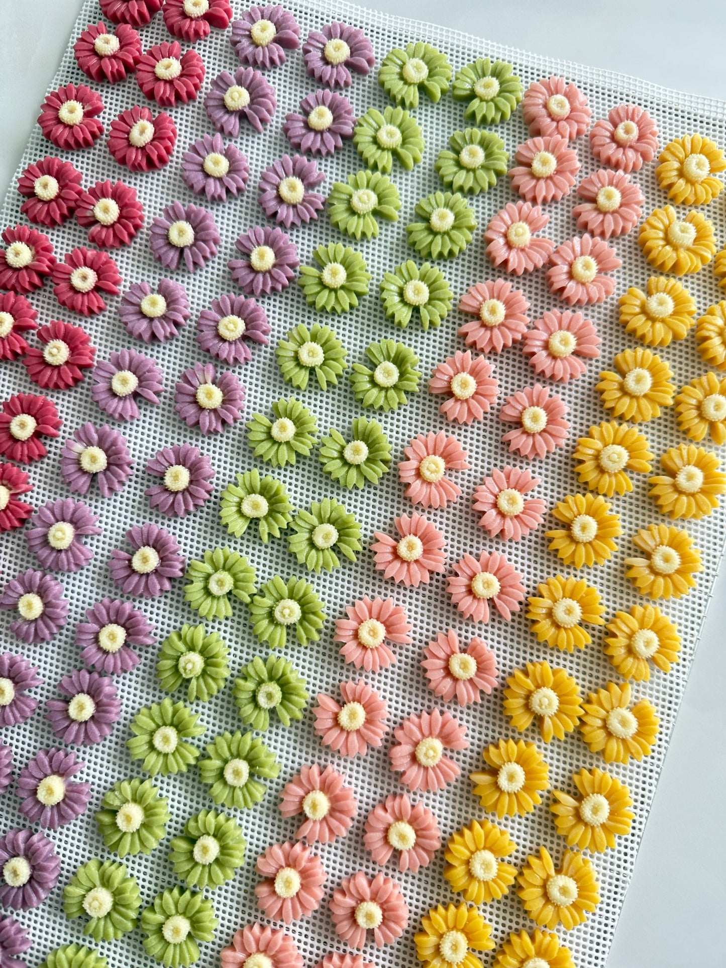 Flower goat milk slices 花朵羊奶片🌸