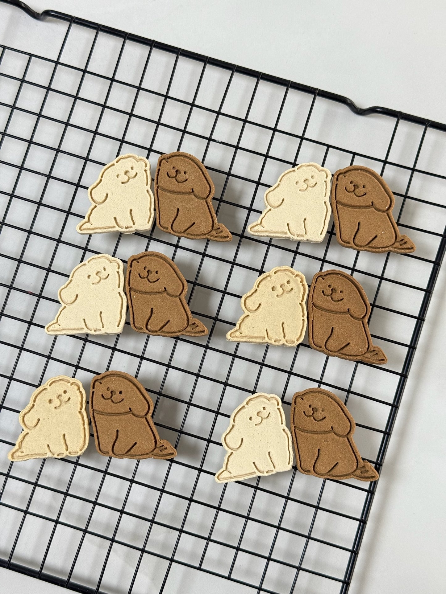 Puppy Face Biscuits 小狗贴贴🐶