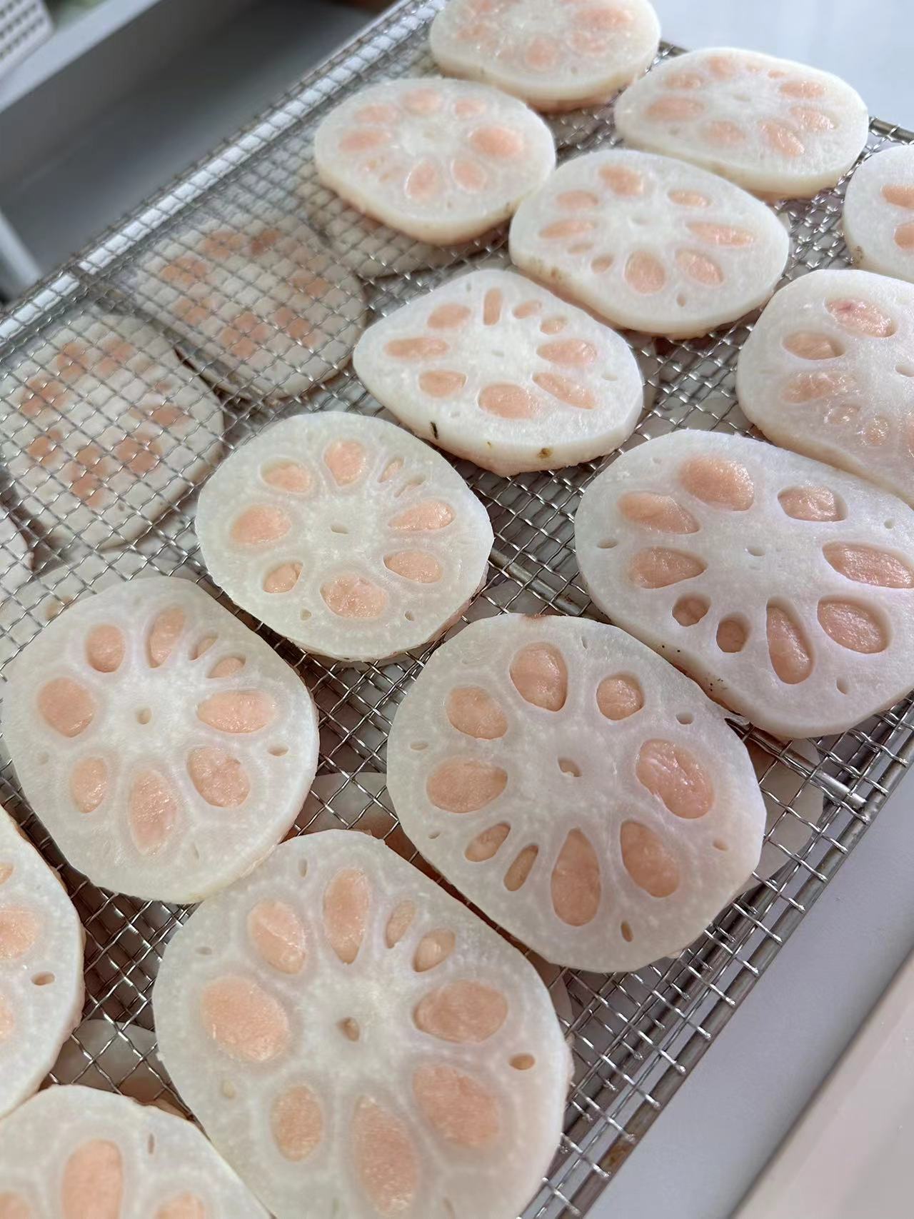 Chicken Wrapped Lotus root slices 鸡肉绕藕片