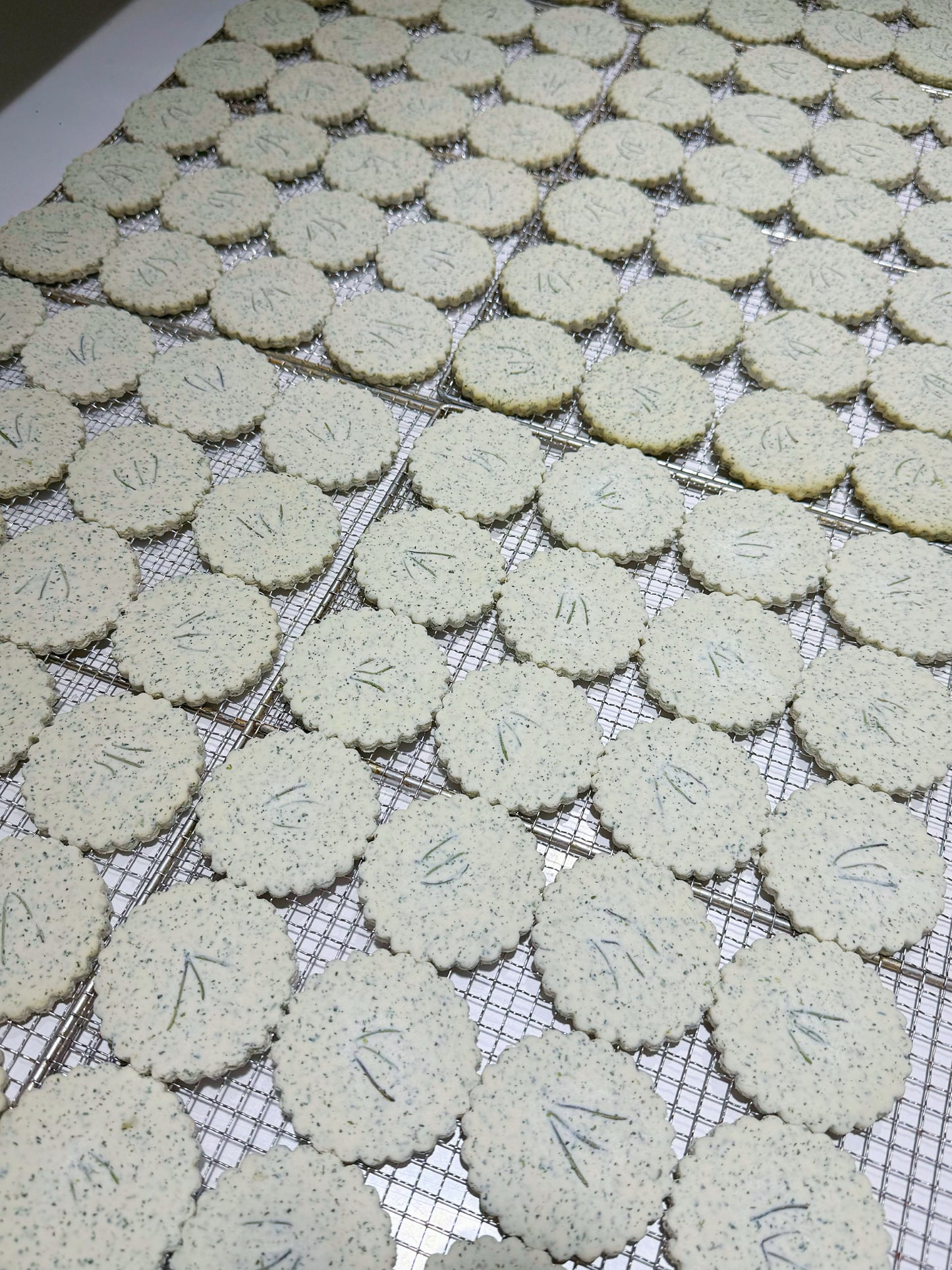 Herb Chicken Biscuits 🌿草本鸡肉饼干