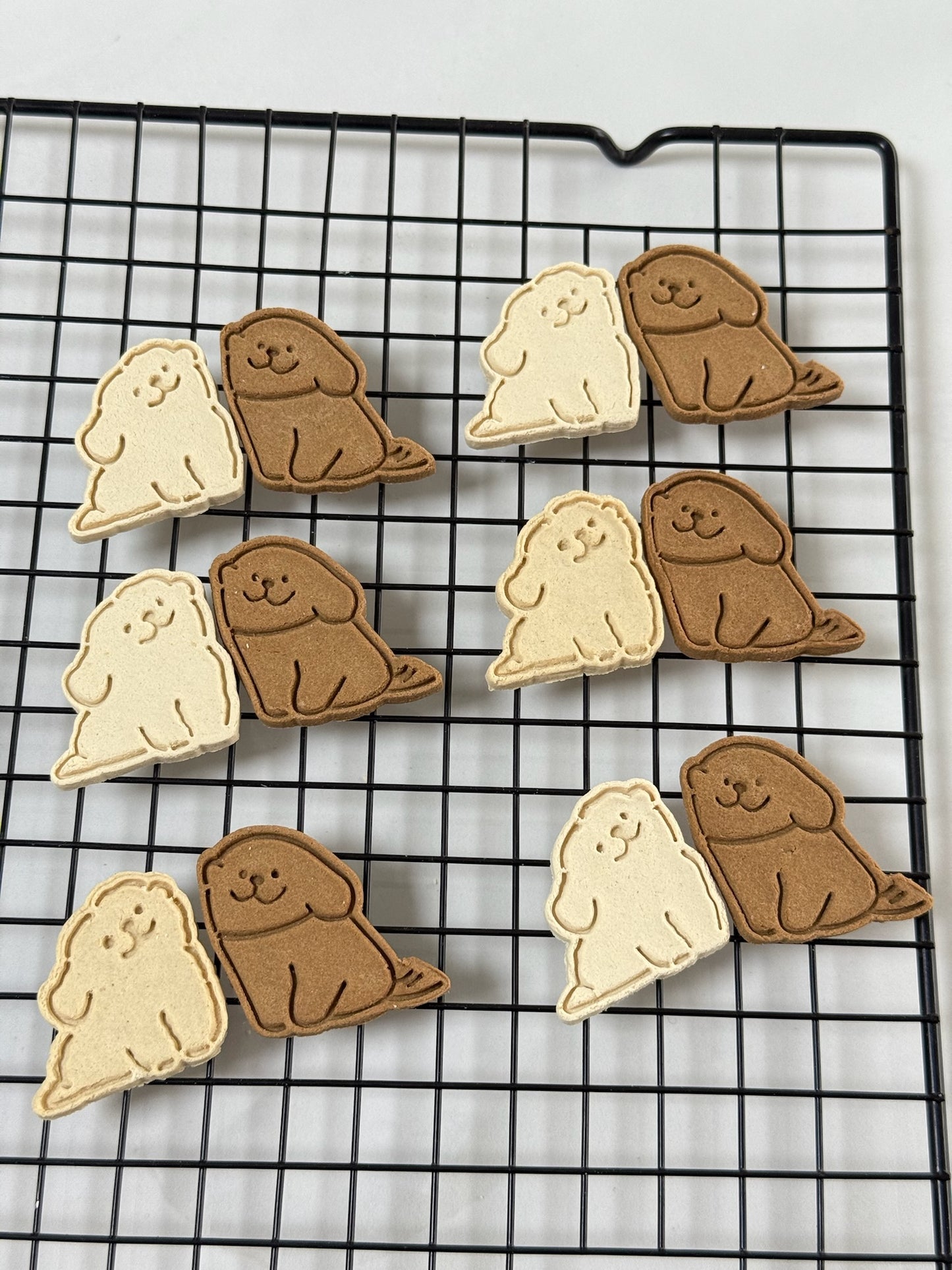 Puppy Face Biscuits 小狗贴贴🐶