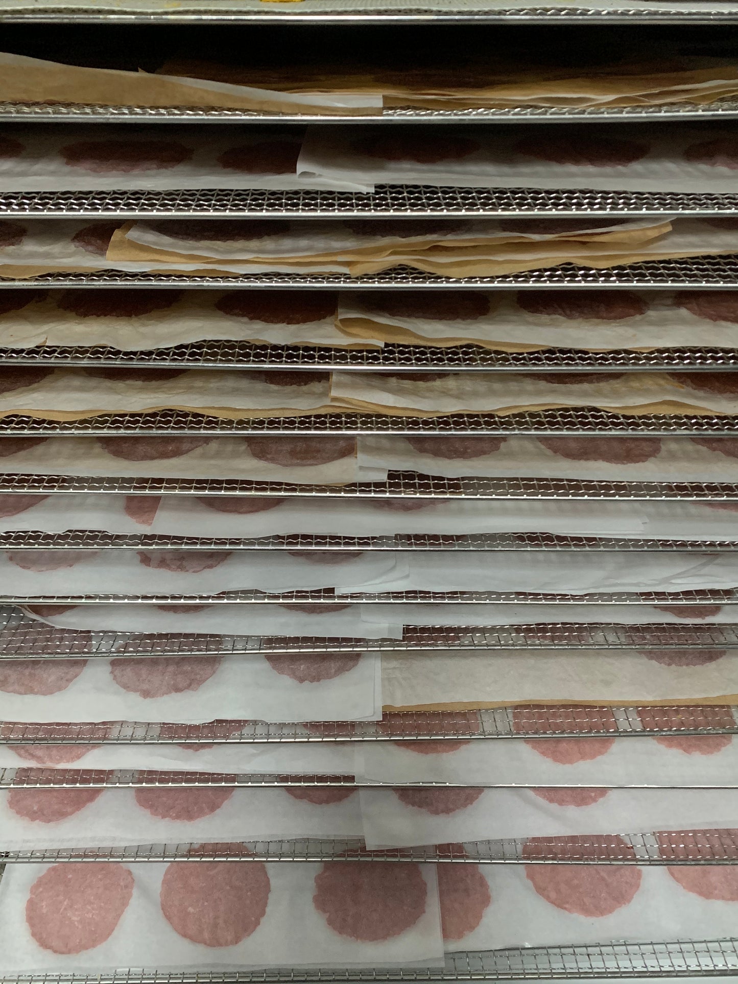 Duck chips 鸭肉薯片