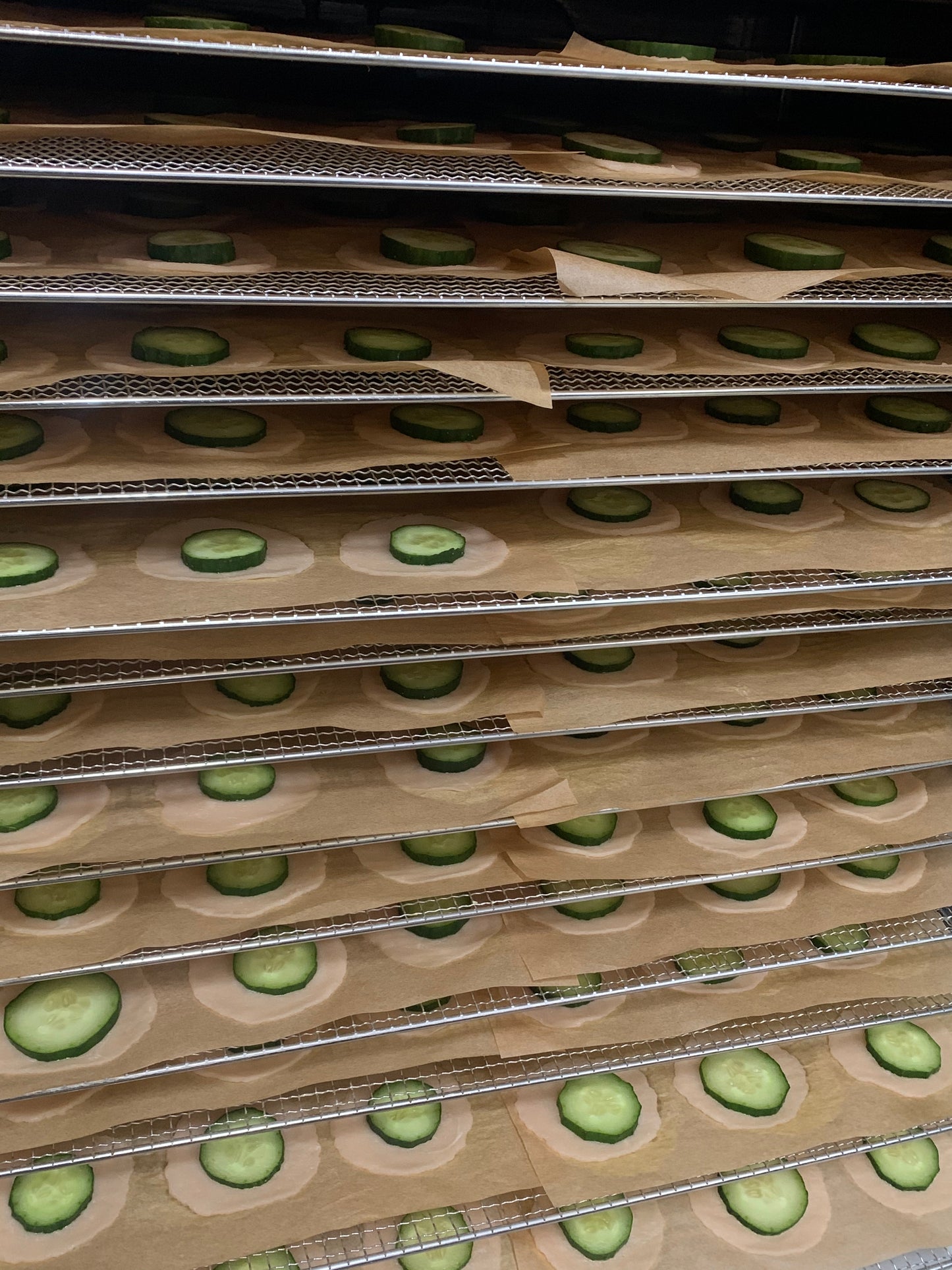 Chicken cucumbers chips 鸡肉青瓜薯片