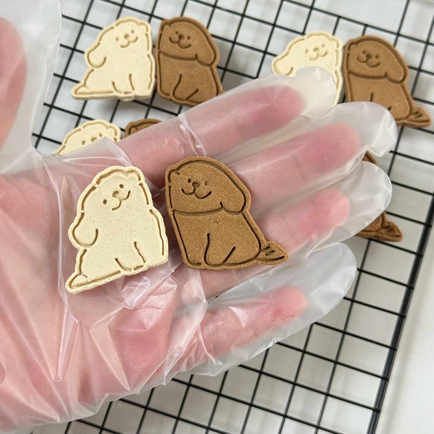 Puppy Face Biscuits 小狗贴贴🐶