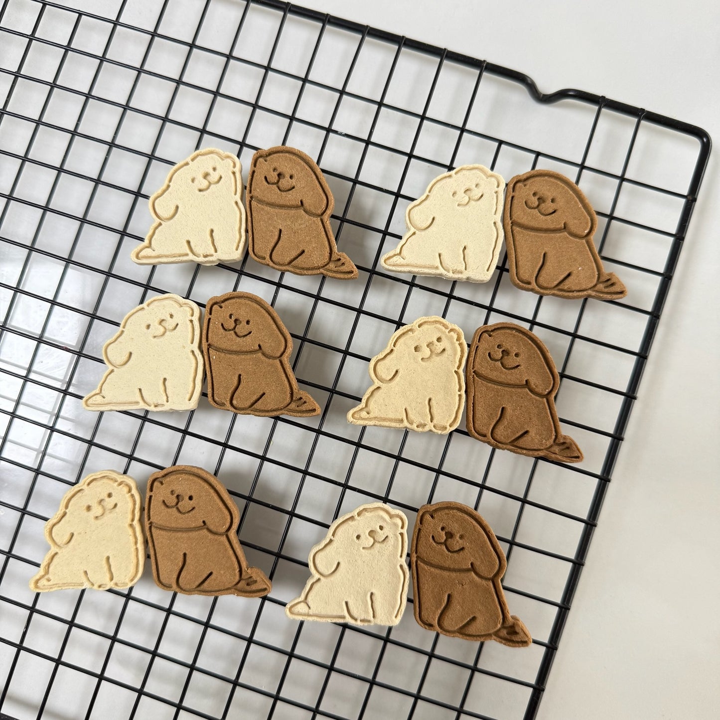 Puppy Face Biscuits 小狗贴贴🐶