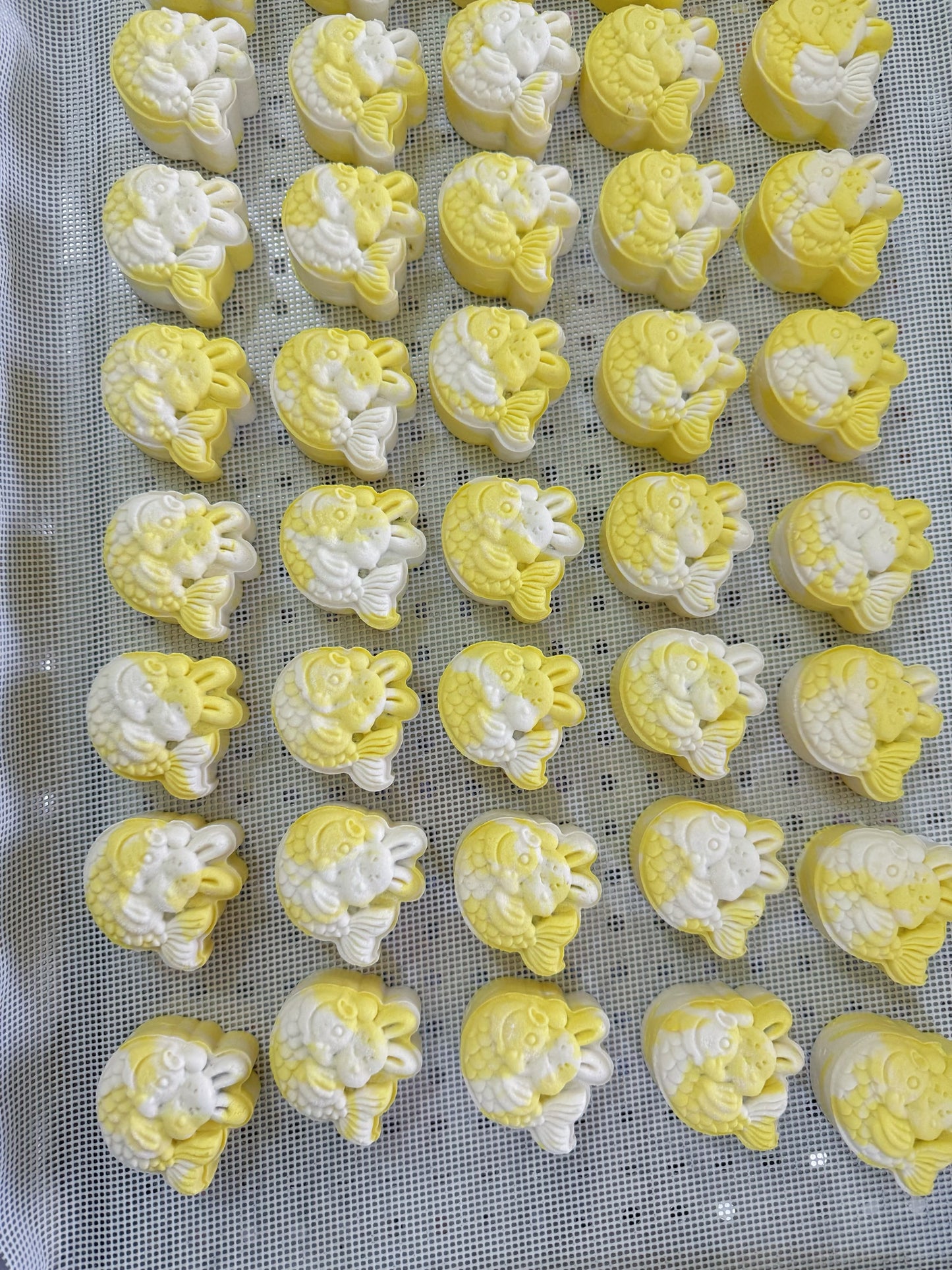 Pet Mooncakes 宠物月饼 现货🔥