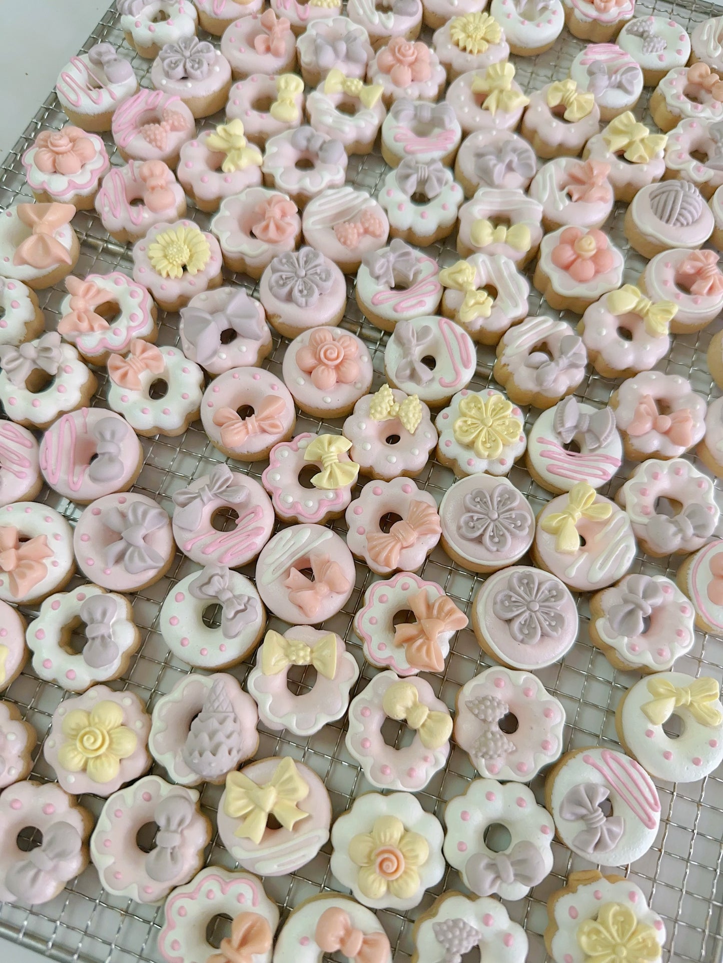 Mini goat milk donuts 迷你羊奶甜甜圈