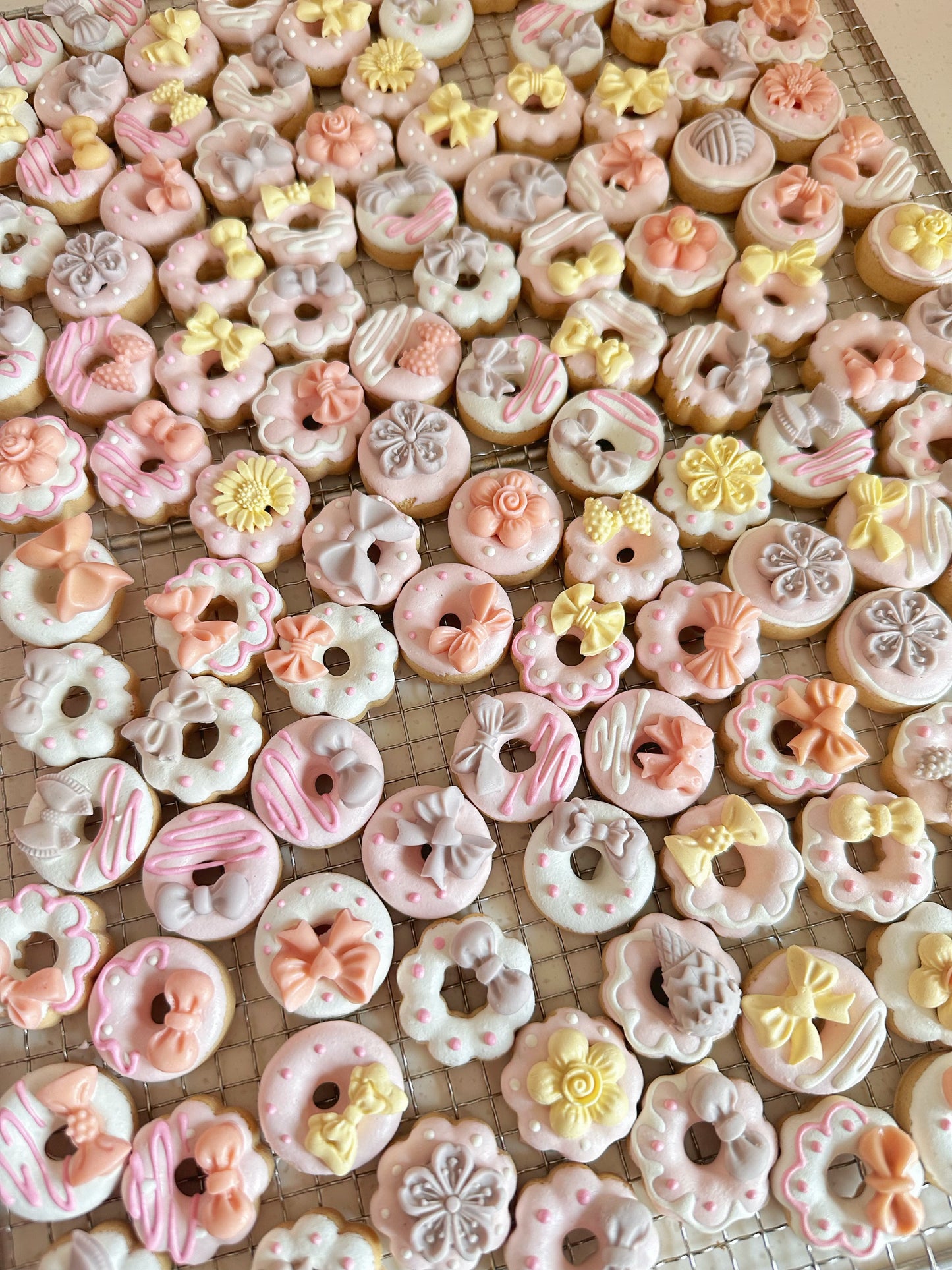 Mini goat milk donuts 迷你羊奶甜甜圈