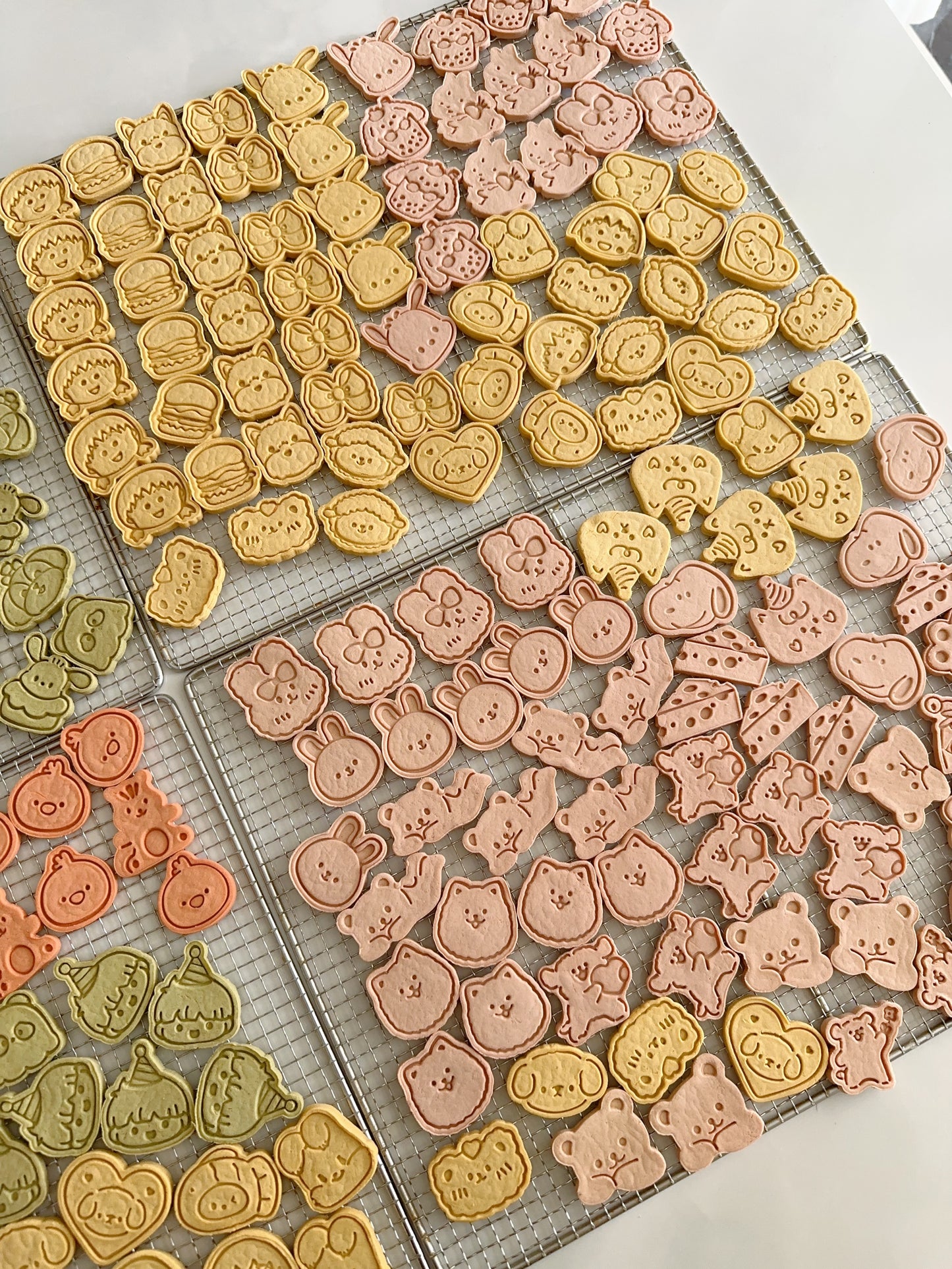 Cartoon pattern teething biscuits卡通图案磨牙饼干