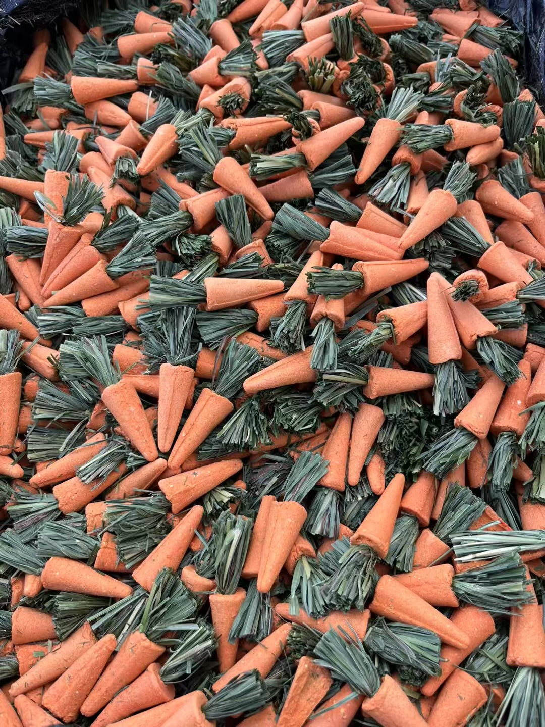 Hamster chew carrot 仓鼠磨牙胡萝卜🥕