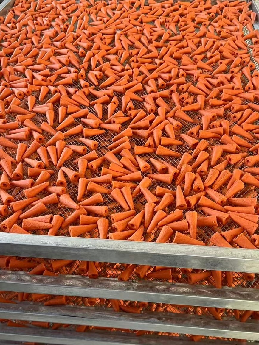 Hamster chew carrot 仓鼠磨牙胡萝卜🥕
