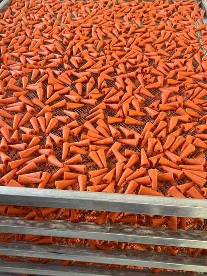 Hamster chew carrot 仓鼠磨牙胡萝卜🥕