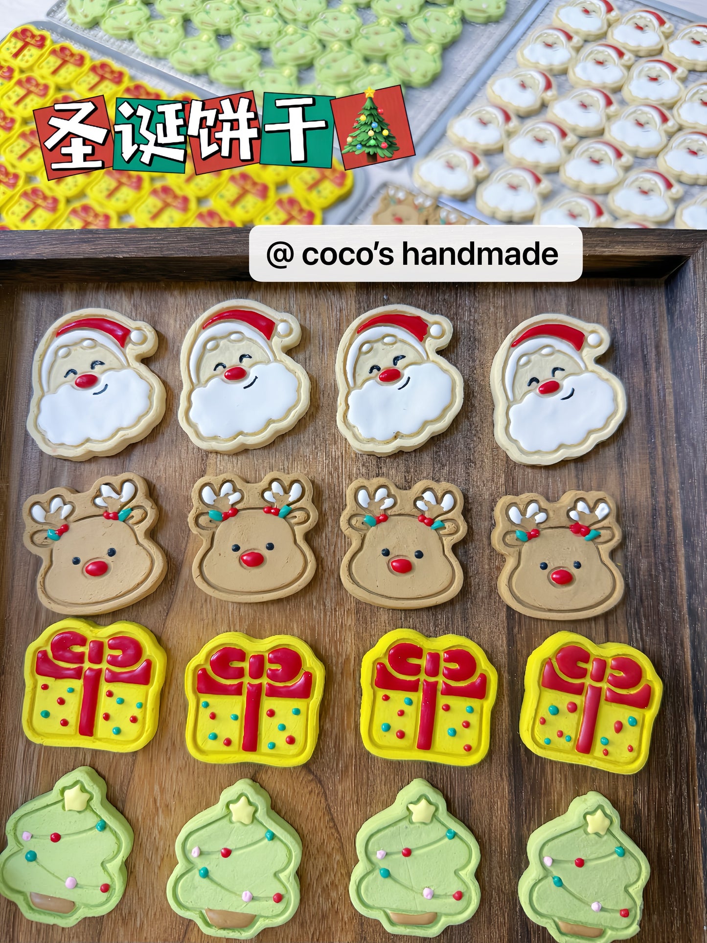 Christmas Limited Edition Painted Cookies  🍪圣诞限定淋面饼干