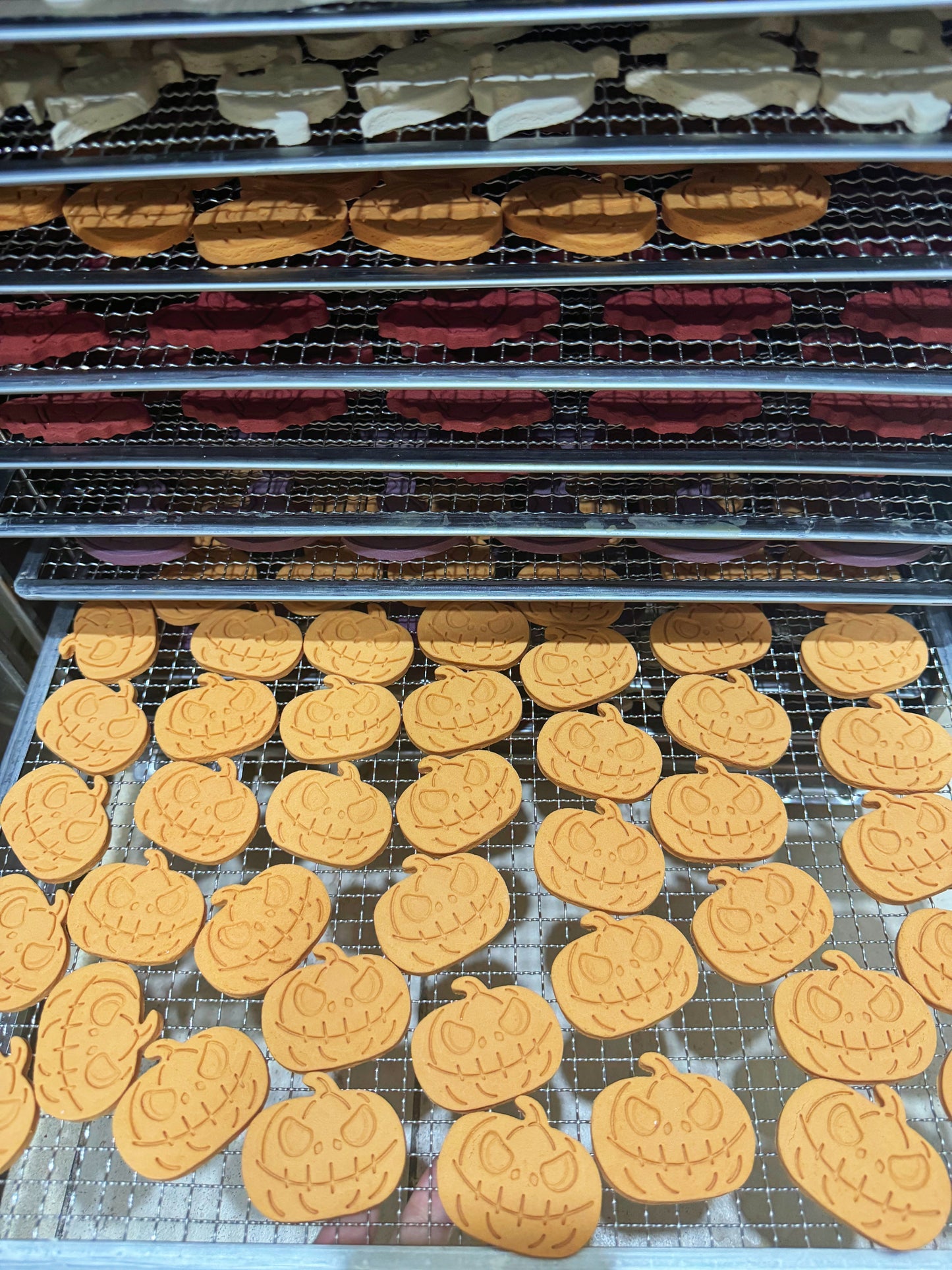 Halloween goat milk teething cookies 万圣节🎃羊奶磨牙饼干