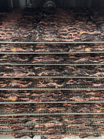 dried quail 烘干小鹌鹑