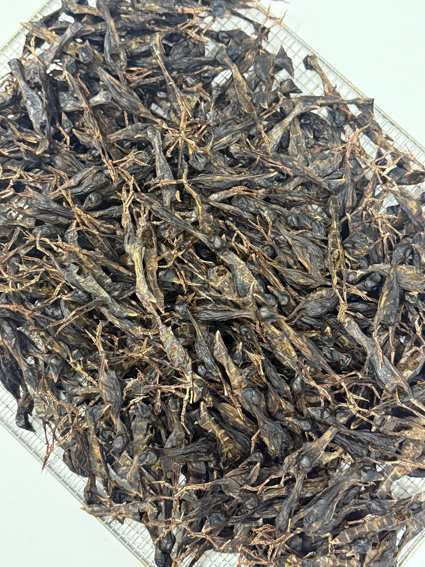 dried quail 烘干小鹌鹑