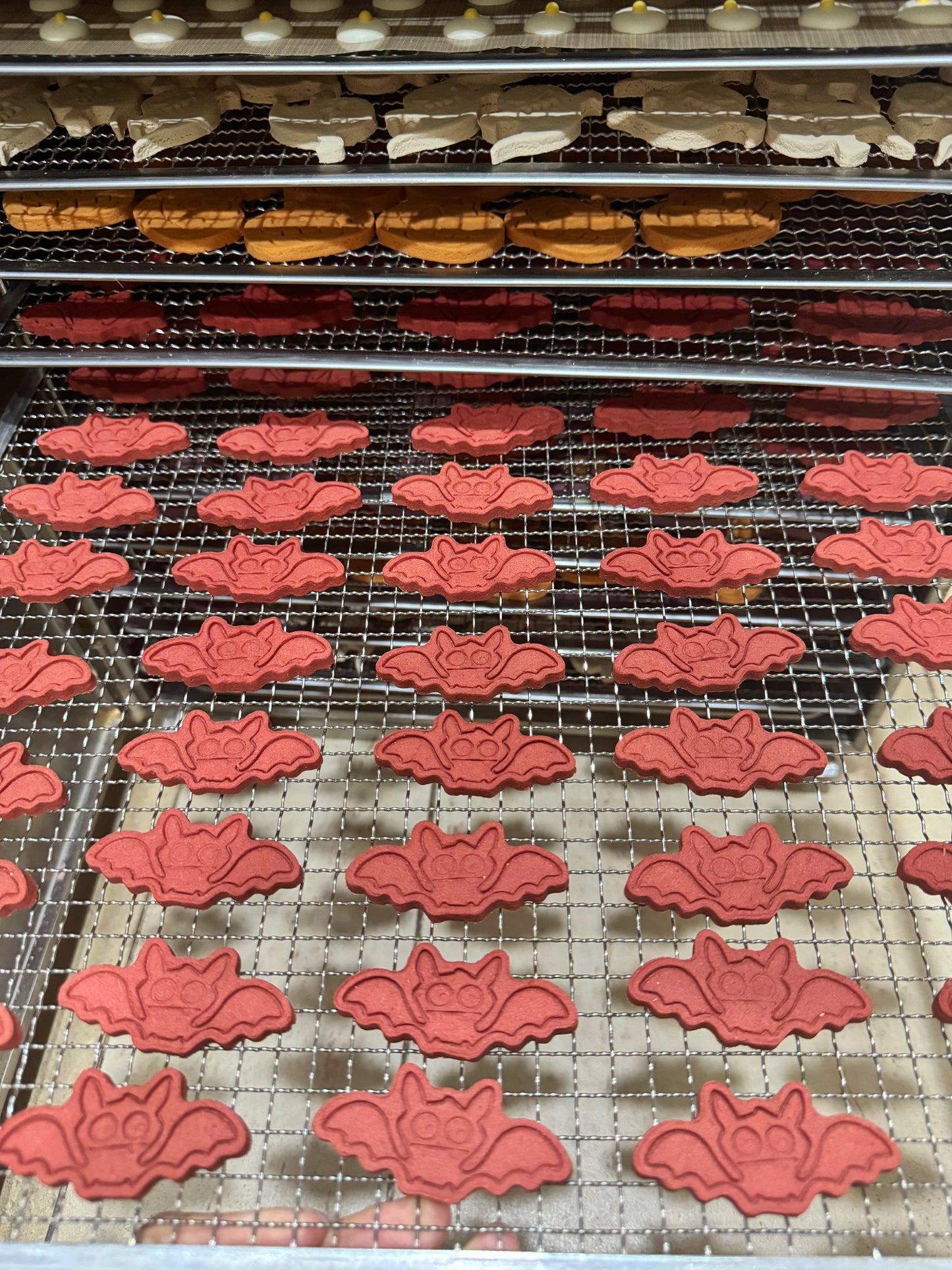 Halloween goat milk teething cookies 万圣节🎃羊奶磨牙饼干